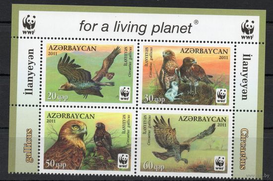 Азербайджан 2011. Птицы. Орлы WWF сцепка 4 марки с верхним полем (412)