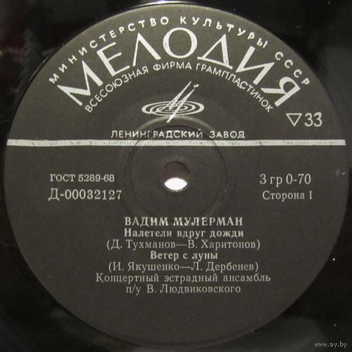 Вадим Мулерман (Налетели вдруг дожди) (7'')