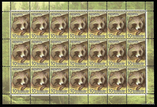 Беларусь. 2008. Стандарт. Енотовидная собака (10р) (з.29-2009) Лист