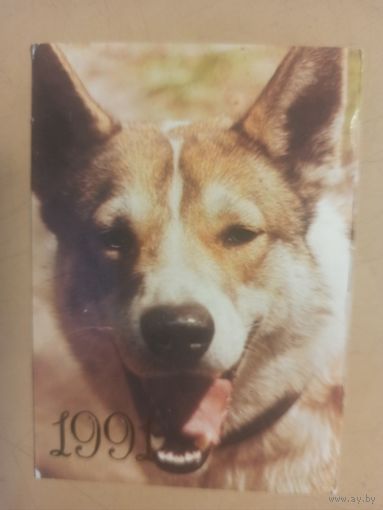 Календарь 1991 Лайка