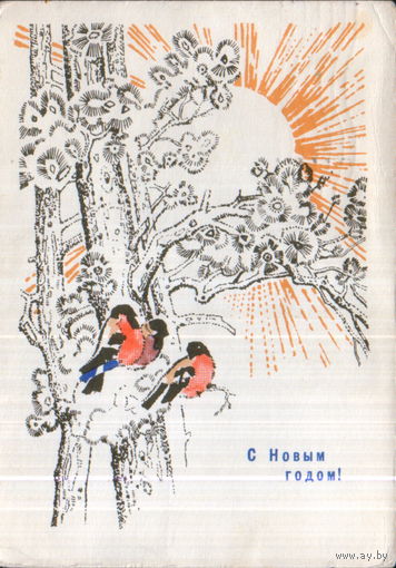 Подписанная открытка 1967г. "С Новым годом! Снегири" худ. Н. Самородов