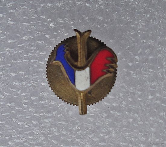 Значок  Лыжный спорт (Федерация Франции)