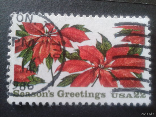 США 1985 Рождество, цветы