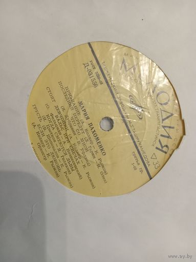 Виниловая пластинка