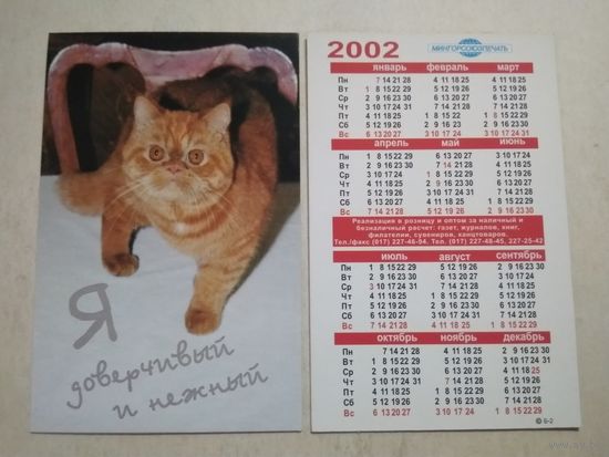 Карманный календарик. Котик. Мингорсоюзпечать. 2002 год