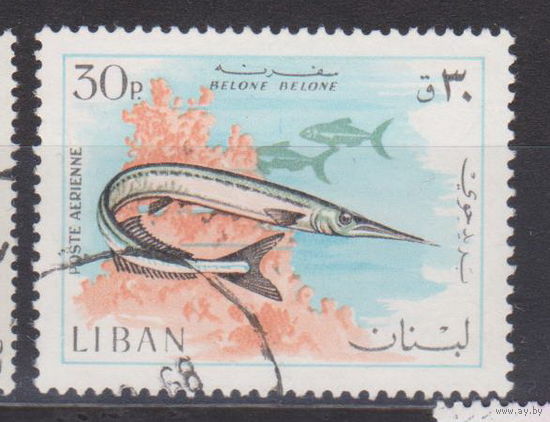 Рыбы фауна  Ливан 1968 год лот 9