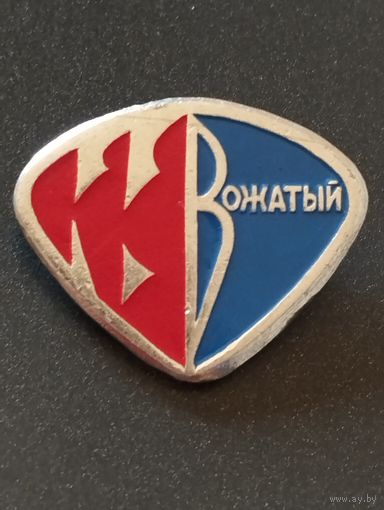 Пионерия. Вожатый.