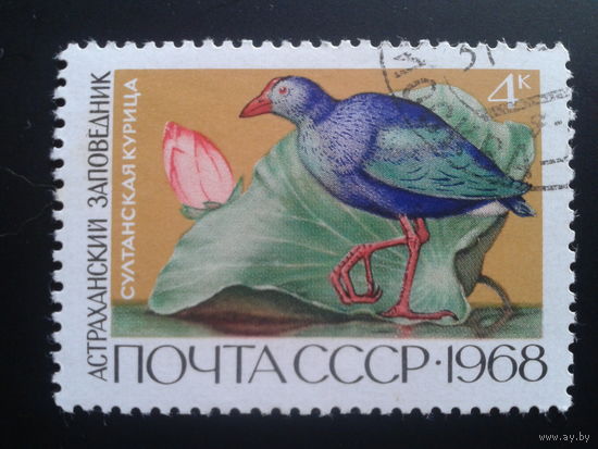 СССР 1968 птица