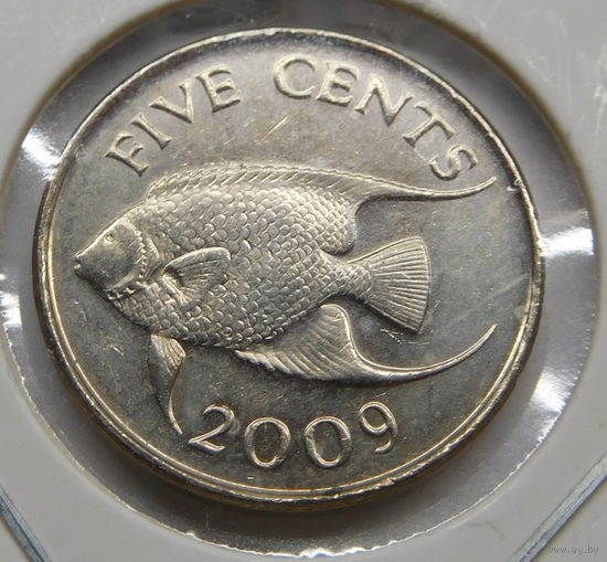 Бермудские острова Бермуды 5 центов 2009 г