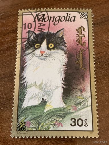 Монголия 1991. Породы кошек. Марка из серии