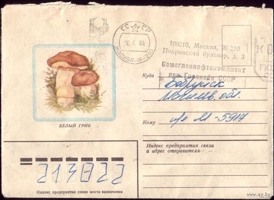 1982 год Белый гриб