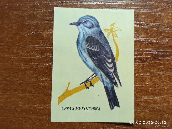 Спичечная этикетка Серая Мухоловка