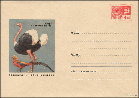 Художественный маркированный конверт СССР N 6398 (17.06.1969) Страус и золотой фазан  Заповедник Аскания-Нова
