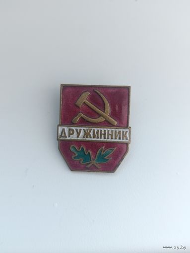 Дружинник,тяжёлый,нечастая разновидность! Старт с рубля!