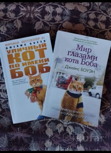 Кот по имени Боб, Мир глазами кота Боба. Джеймс Боуэн