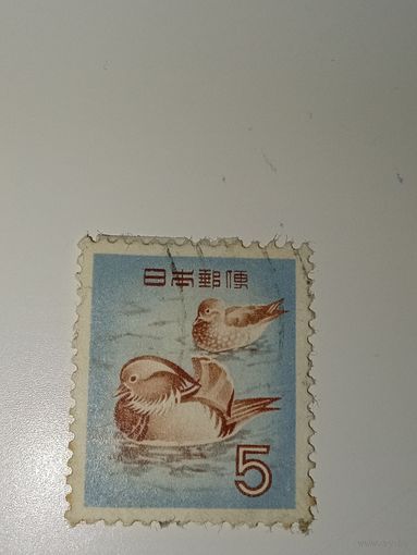 Япония 1955 год утки