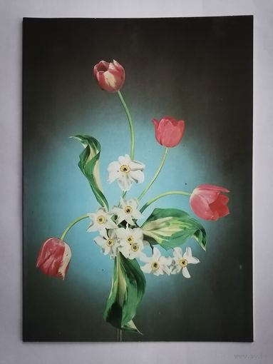 Открытка из СССР, 1988г, подписанная.