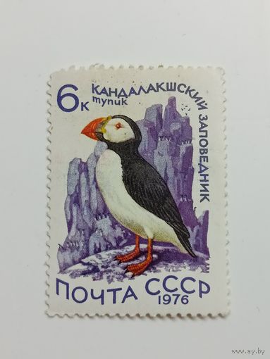 1976 СССР. Водоплавающие птицы