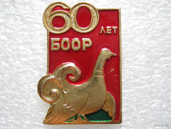 БООР 60 лет.