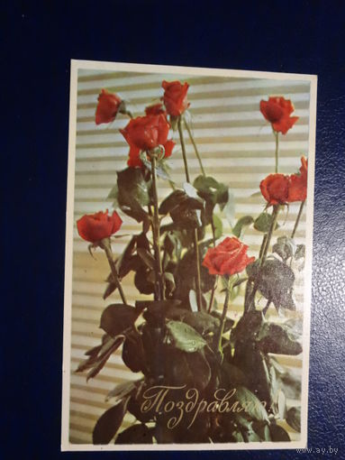 Поздравляю!  Розы.  1970 г.  подписанная.