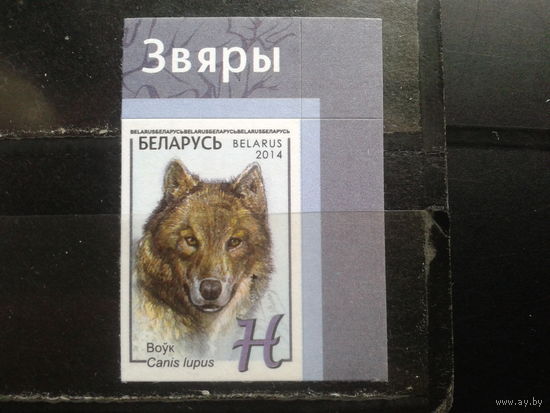 2014 Волк** угол