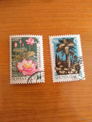 1966 СССР флора цветы MNH**(сф-9)