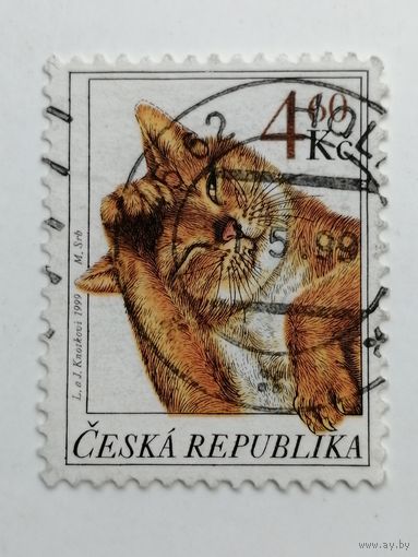 Чехия 1999. Коты.