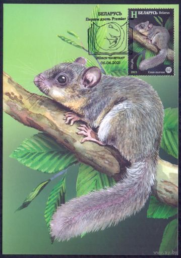 Беларусь 2021 Картмаксимумы фауна