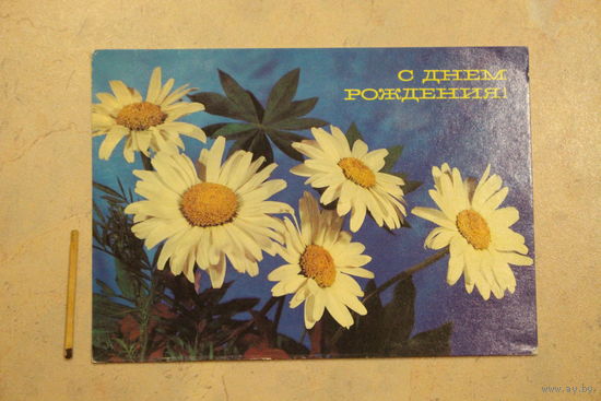 Открытка, чистая 1989 г.