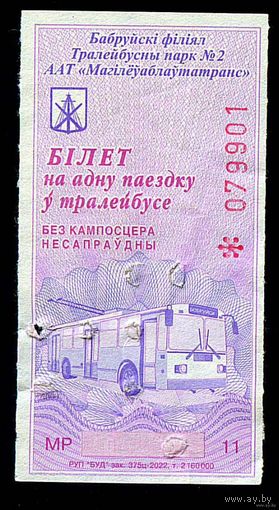 Бобруйск. Талон на проезд в троллейбусе. Прокомпостирован