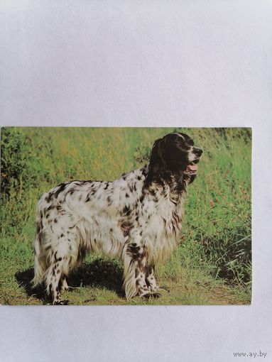 Открытка из СССР, подписанная