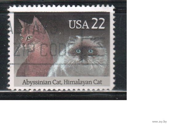 США-1988, (Мих.1966),  гаш., Фауна, Кошки