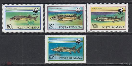 Осетровые Рыбы WWF Фауна моря 1994 Румыния MNH полная серия 4 м зуб