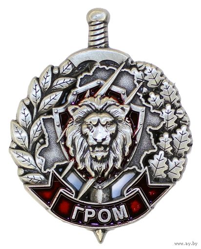 ВВ МВД. Отряд специального назначения "Гром"