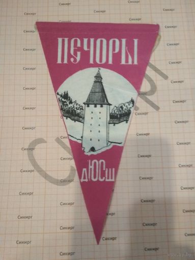 Вымпел Печоры ДЮСШ