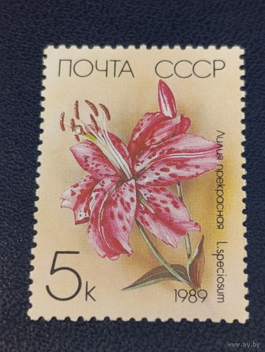 СССР 1989г. Лилия прекрасная