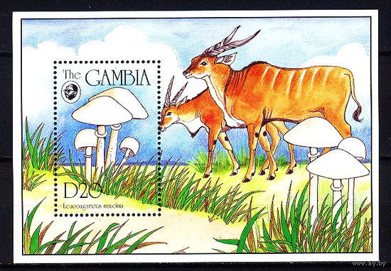 1994 Гамбия. Грибы
