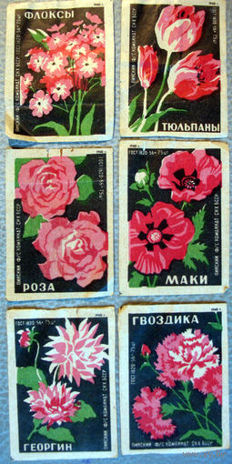 Цветы - Пинский ф/с комбинат СНХ БССР 1960 г.