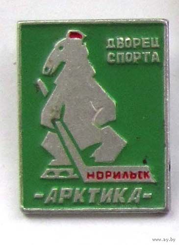 Норильск. Хоккей. Дворец спорта Арктика