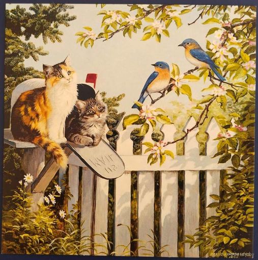 Специальная пушистая доставка. Persis Clayton Weirs. Россия.