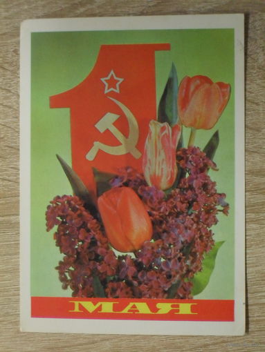 ПОДПИСАННАЯ ОТКРЫТКА СССР.  "1 МАЯ" худ. И. ДЕРГИЛЕВ. 1981 год.