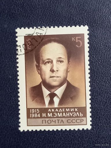 Академик Н.М.Эмануэль