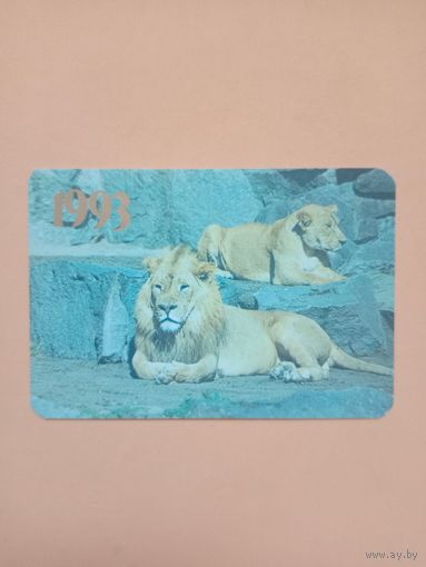 Календарик 1993