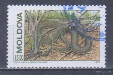 [1550] Молдова 1993. Фауна.Рептилии.Змеи.Уж. Гашеная марка.