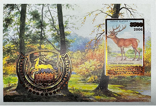Разновидность почтовой марки "V Национальная филателистическая выставка "Белфила-2006"