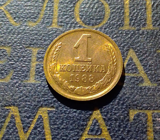 1 копейка 1988 СССР #24