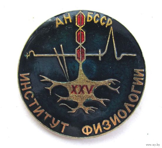 25 лет институту физиологии АН БССР
