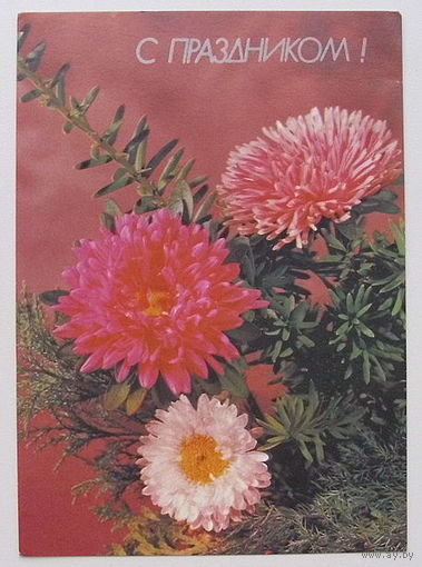 С Праздником. Чистая. 1989 года. Круцко.