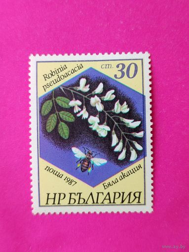 Болгария. Флора. ( 1 марка ) 1987 года. 10-12.