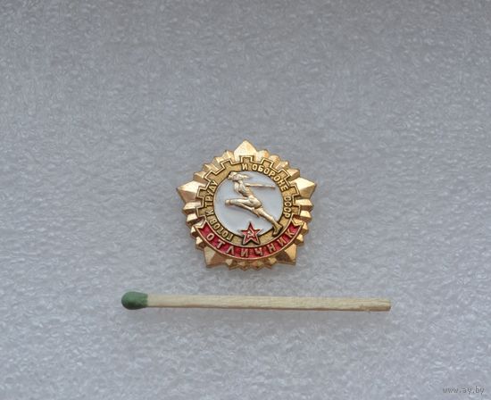 ГТО. Отличник.